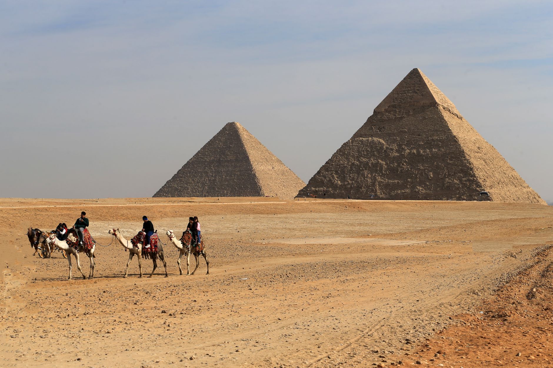 Chevaux, chameaux et éthique animale sur les sites égyptiens