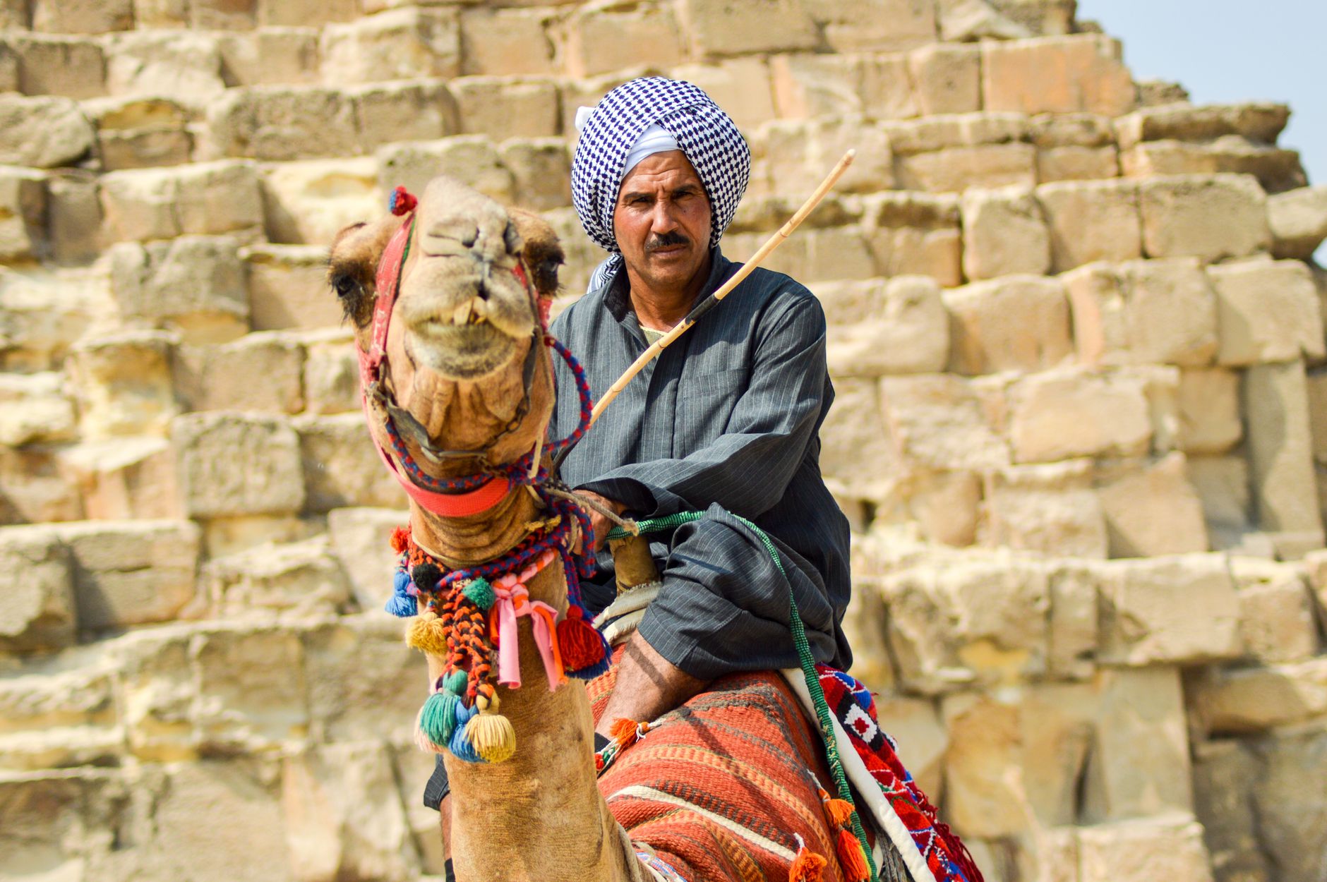 Hiring a Private Egyptologist Guide: Cost & Real Value