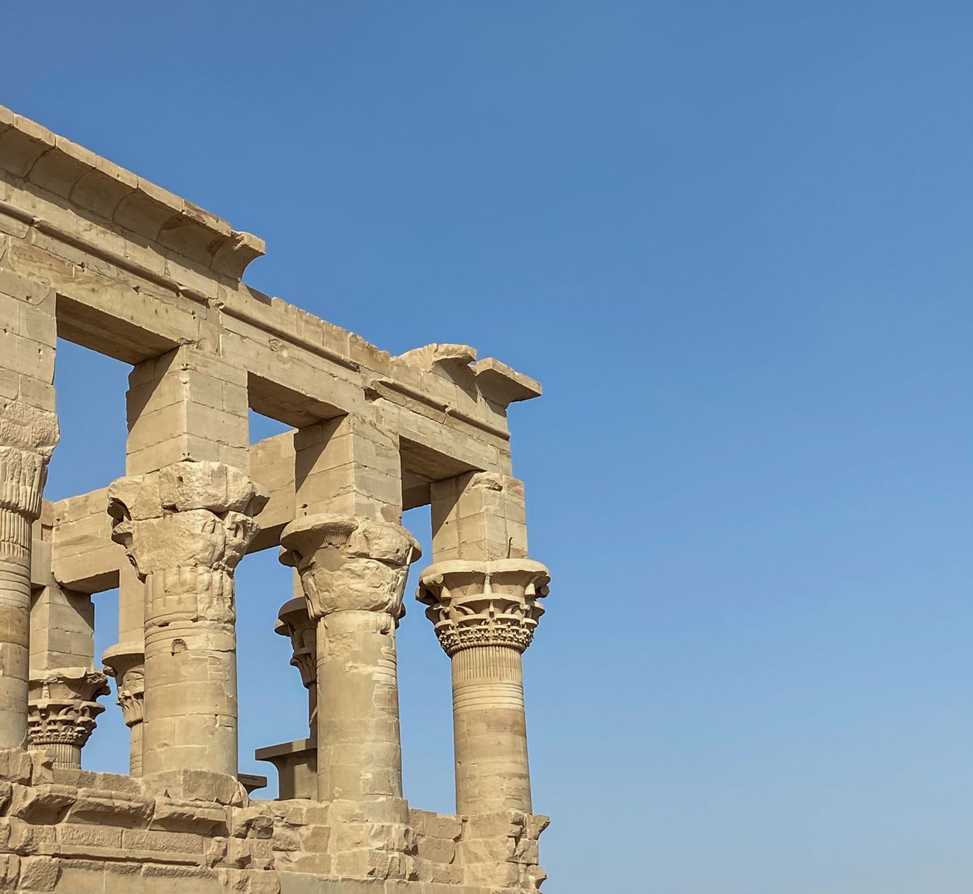 Kom Ombo et son musée des crocodiles : guide complet