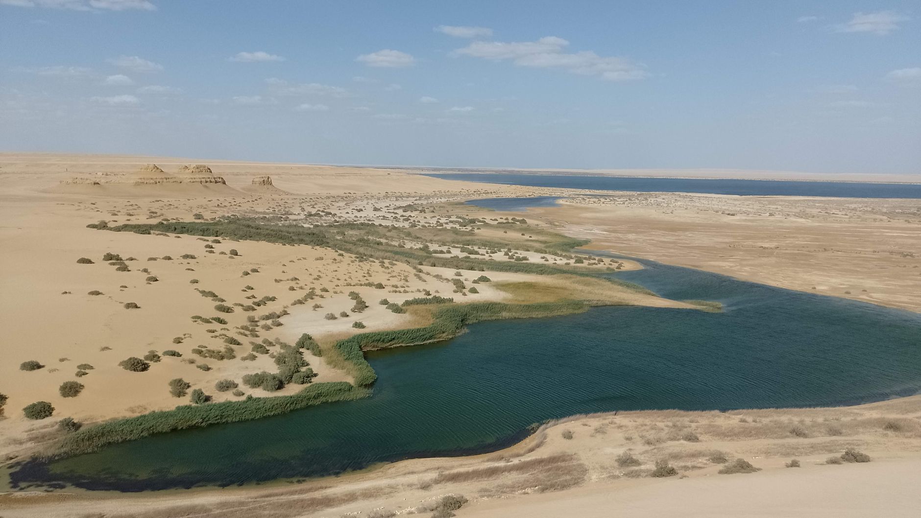 Lac Qaroun au Fayoum : oiseaux et couchers de soleil