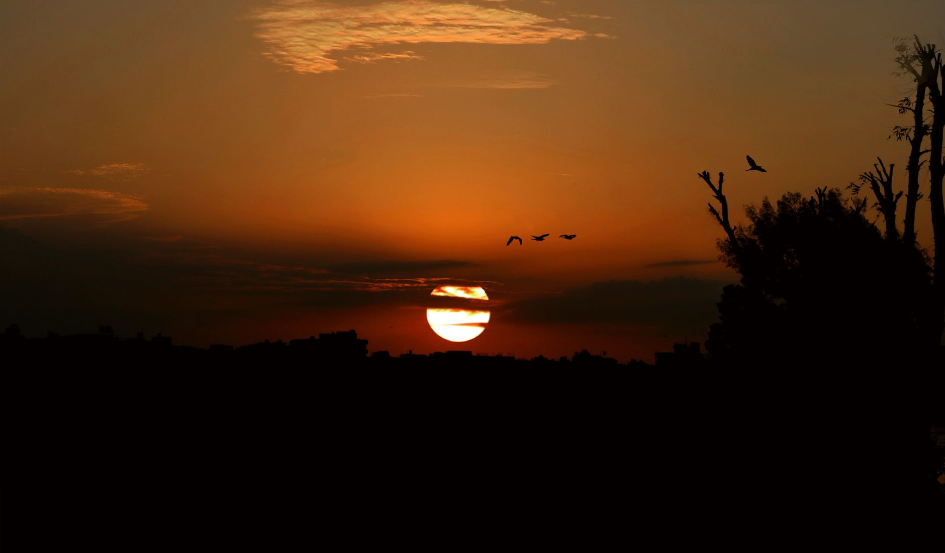 Lake Qarun: Birds and Sunsets in Fayoum, Egypt