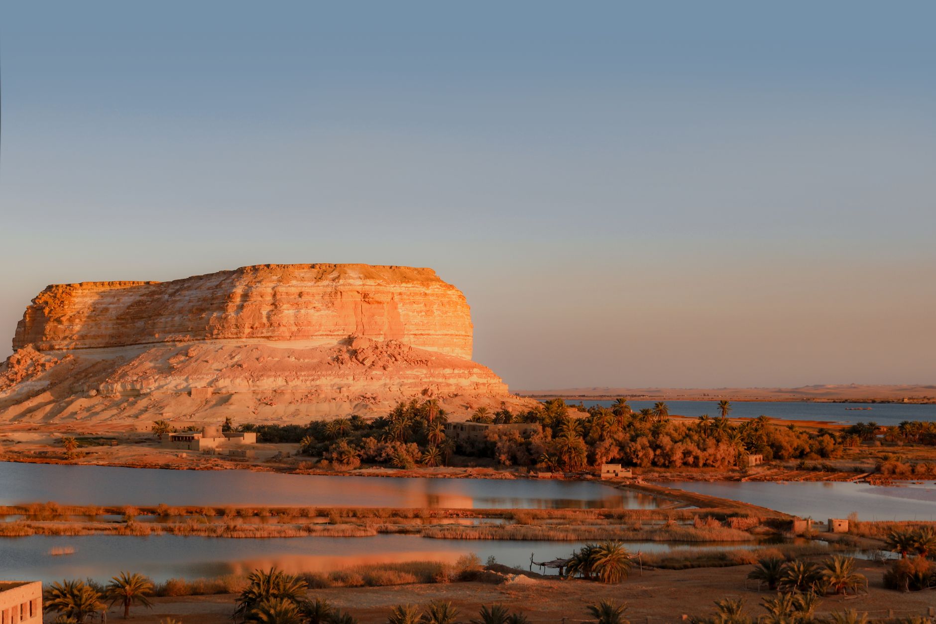 Oasis du Fayoum : escapade nature depuis Le Caire