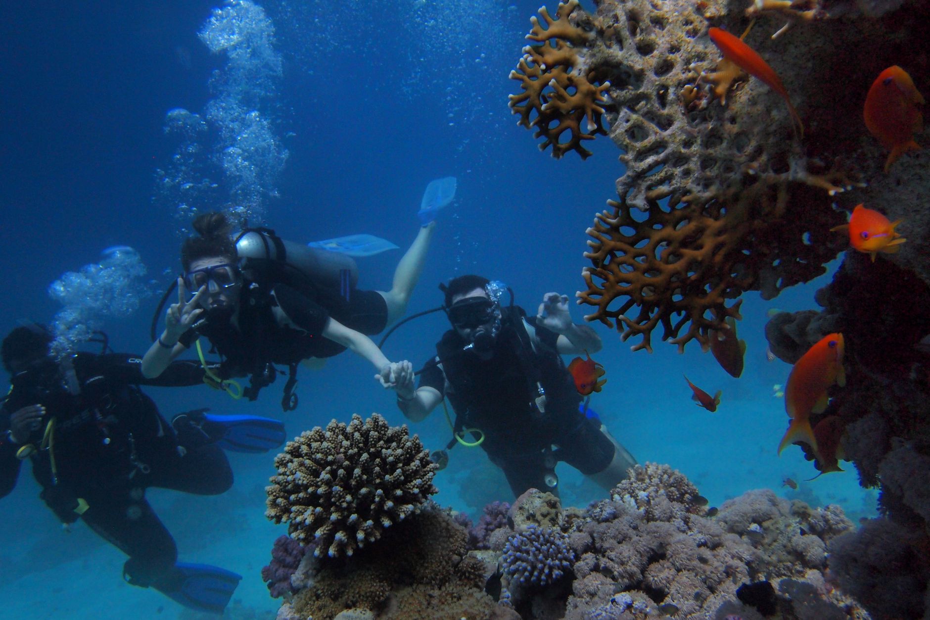 Red Sea or Nile: Which Egypt Trip Fits You?