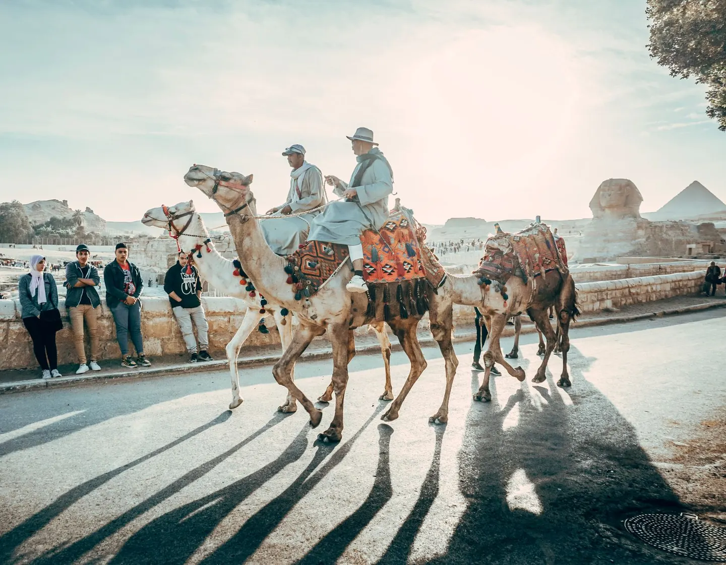 Santé et vaccins avant un voyage en Égypte : guide 2026