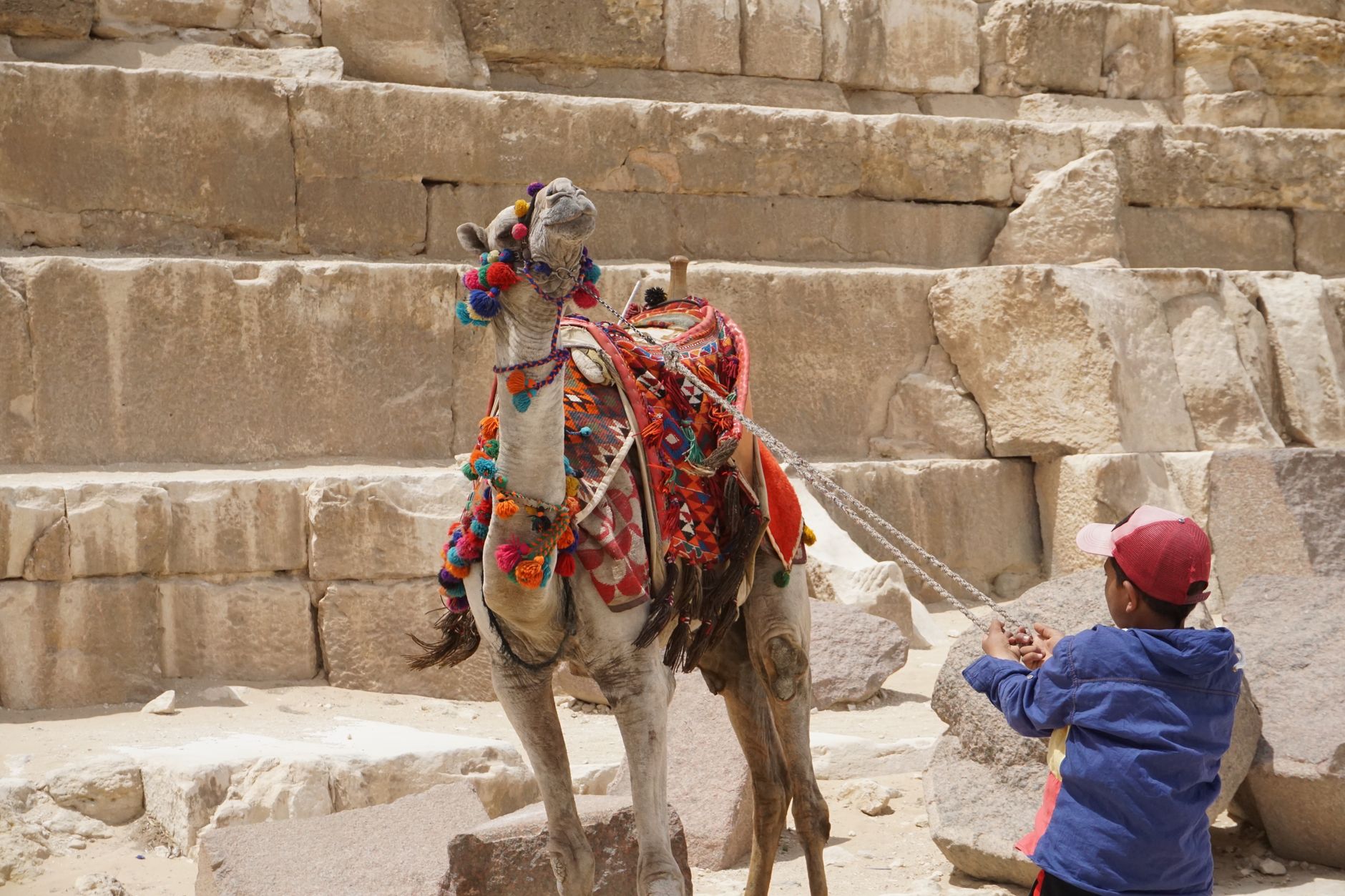 Saqqara & the Step Pyramid: A Visitor's Guide
