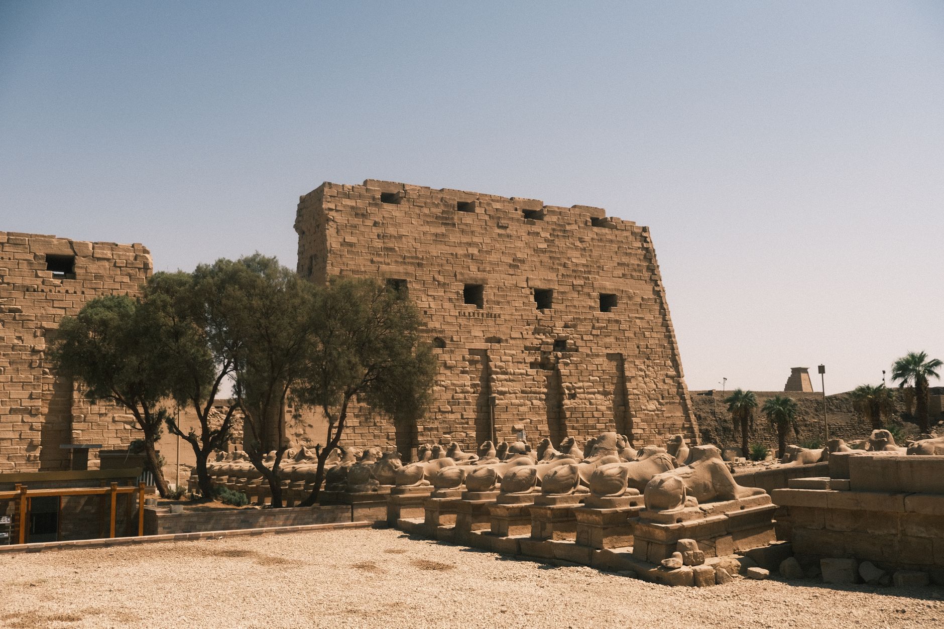 Tell el-Amarna : la cité oubliée d'Akhenaton