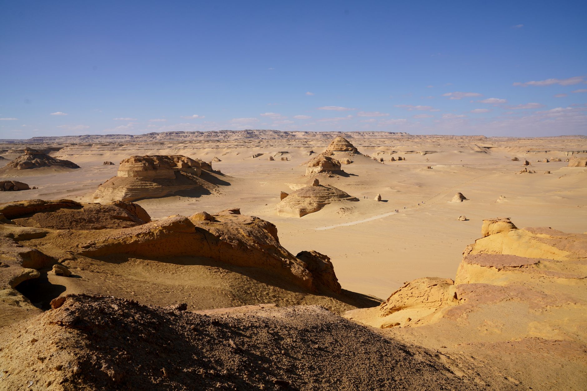 Wadi Al-Hitan: Egypt's Valley of Whales in Fayoum