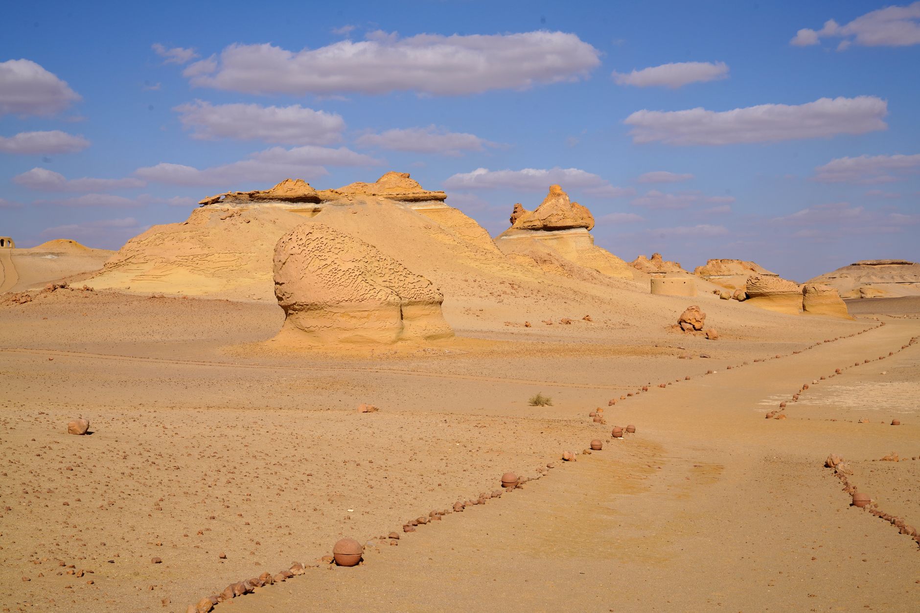 Wadi Al-Hitan, vallée des Baleines : joyau UNESCO du Fayoum