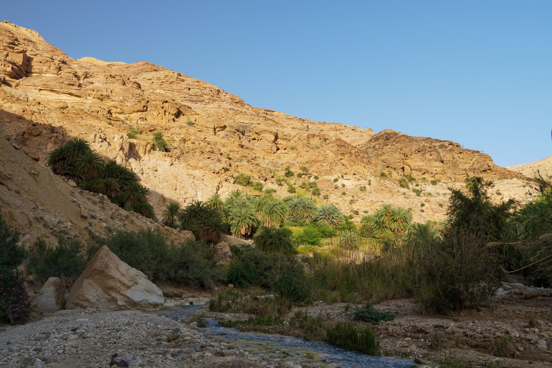 Wadi El Rayan Waterfalls: A Fayoum Escape