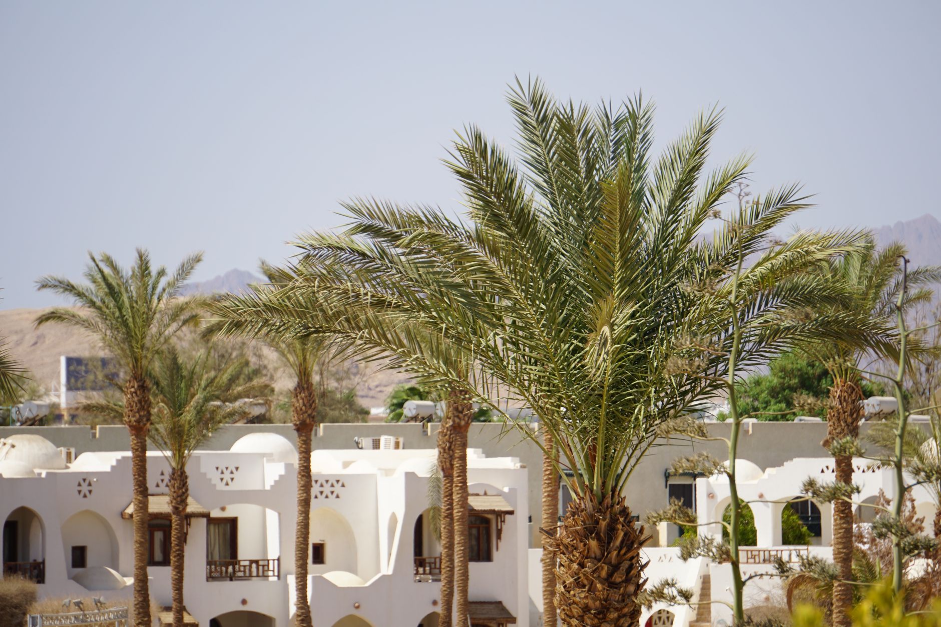 Wi-Fi hôtel Égypte : pourquoi il déçoit si souvent